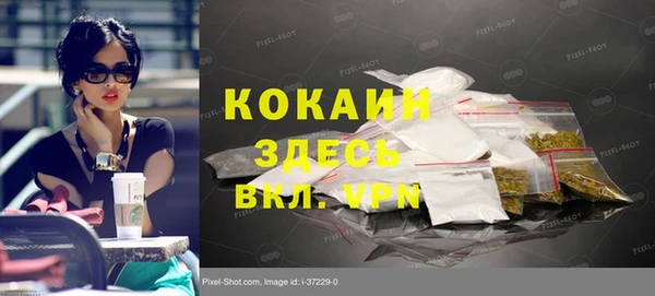 крисы Липки