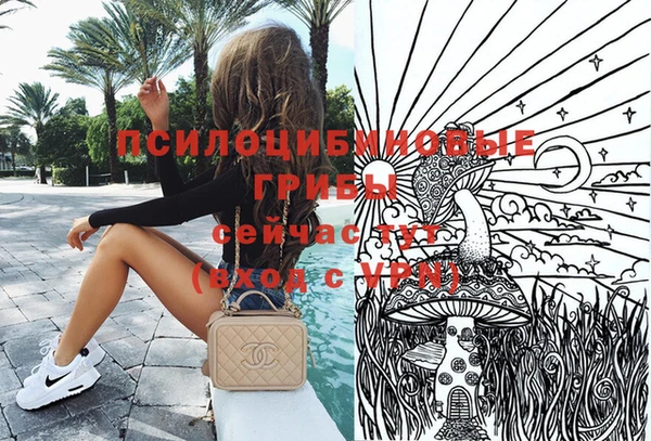 крисы Липки