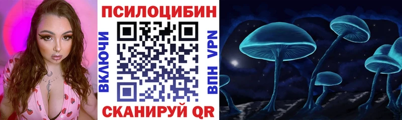 Псилоцибиновые грибы мицелий  Новосибирск 