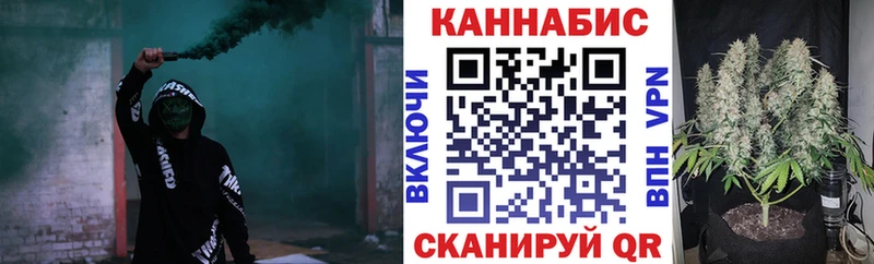 наркотики  Новосибирск  Канабис планчик 